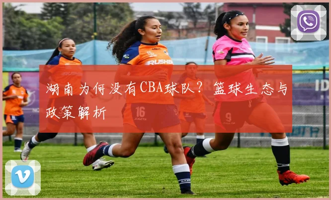 湖南为何没有CBA球队?篮球生态与政策解析