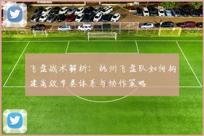 飞盘战术解析：杭州飞盘队如何构建高效节奏体系与协作策略