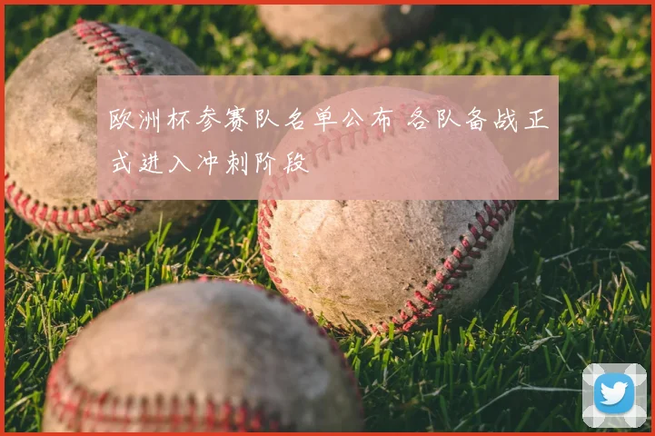 欧洲杯参赛队名单公布 各队备战正式进入冲刺阶段