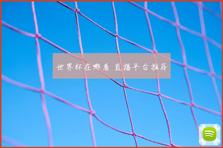 世界杯在哪看 直播平台推荐