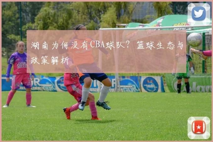 湖南为何没有CBA球队？篮球生态与政策解析