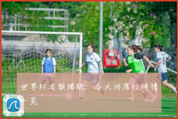 世界杯名额揭晓:各大洲席位详情一览