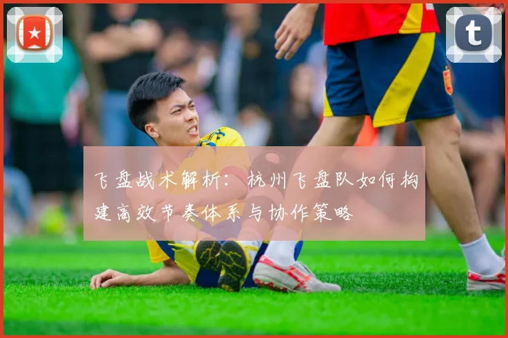 飞盘战术解析：杭州飞盘队如何构建高效节奏体系与协作策略