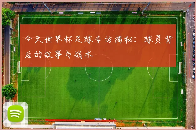 今天世界杯足球专访揭秘：球员背后的故事与战术