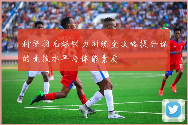 科学羽毛球耐力训练全攻略提升你的竞技水平与体能素质