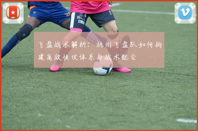 飞盘战术解析：杭州飞盘队如何构建高效快攻体系与战术配合