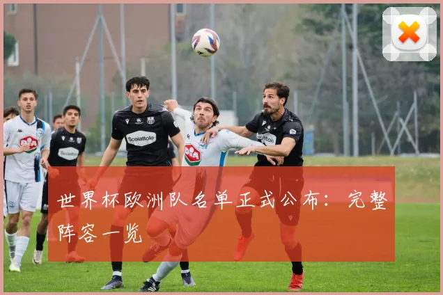 世界杯欧洲队名单正式公布：完整阵容一览