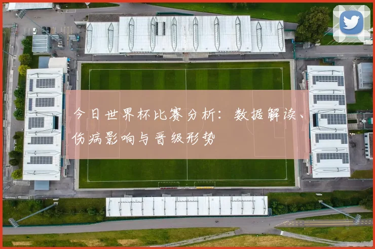 今日世界杯比赛分析：数据解读、伤病影响与晋级形势